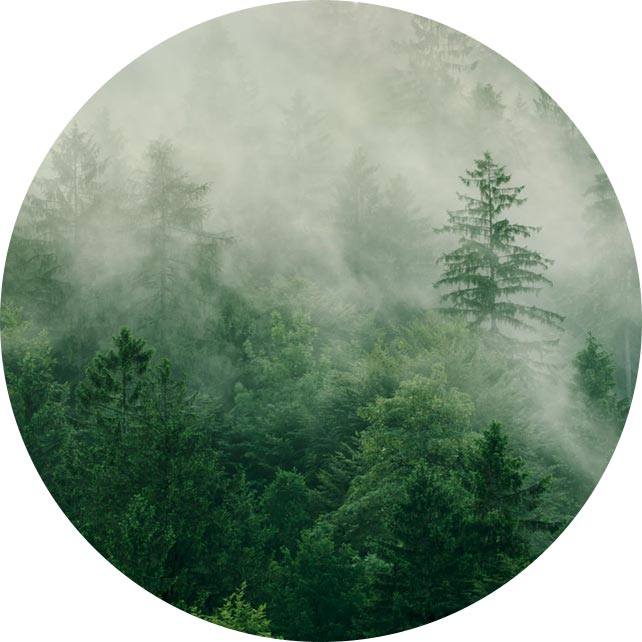 Yangzhou Suxiang Medical Instrument Co. , Ltd.